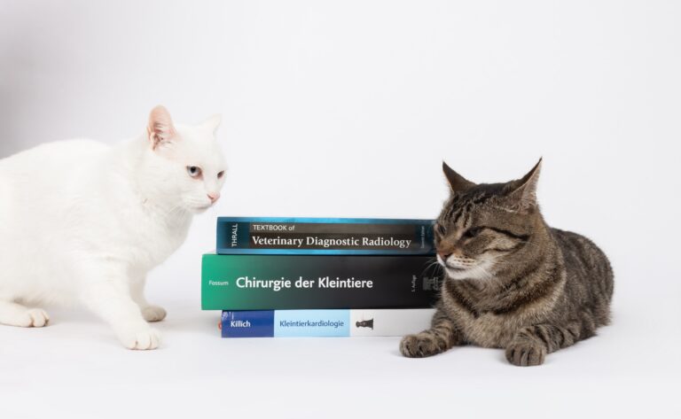 Kostenloses Test-Modul