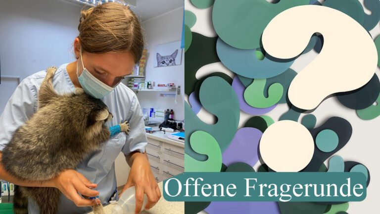 28.01.26: Wunsch-Themen-Webinar & offene Fragerunde