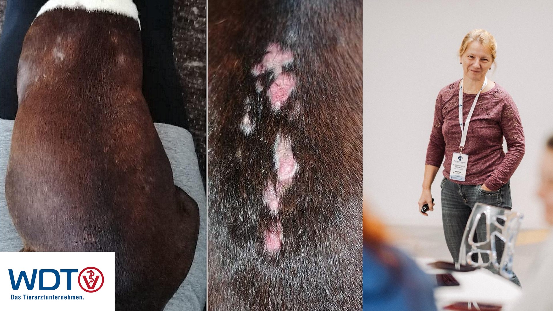 18.02.26: Cushing’s Syndrom mit Dr. Christiane Stengel