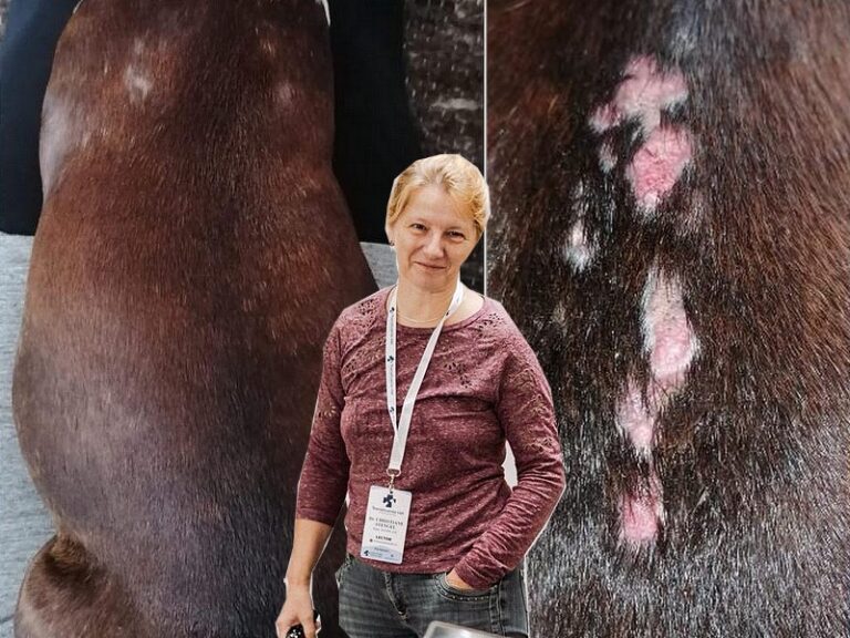 Cushing’s Syndrom mit Dr. Stengel