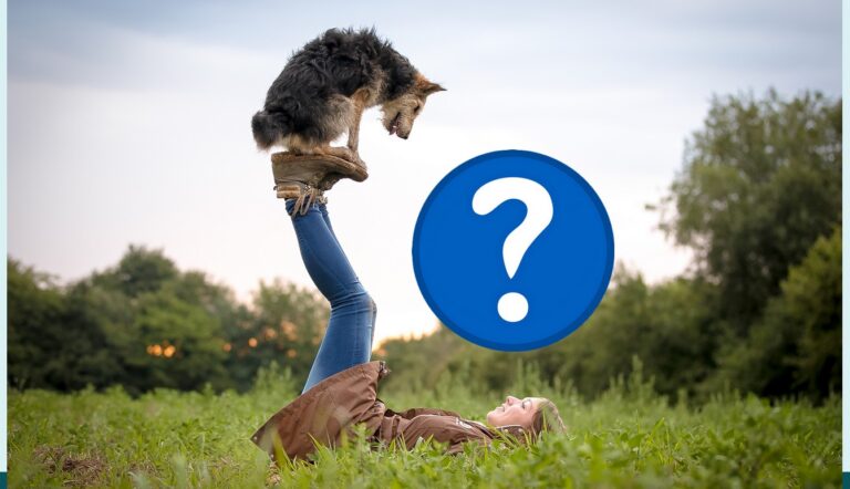 08.04.26: Wunsch-Webinar und offene Fragerunde