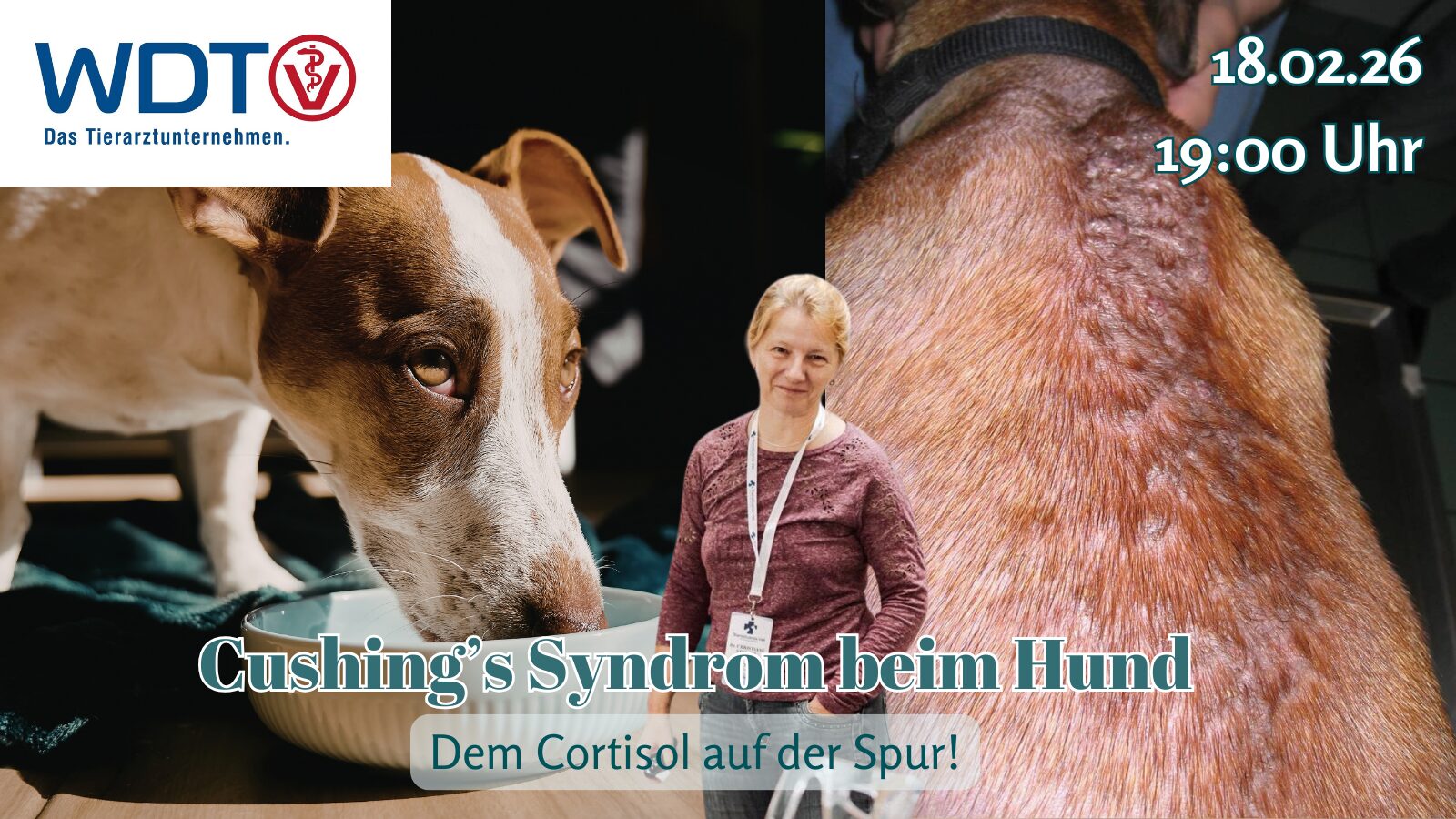 18.02.26 Cushing’s Syndrom mit Dr. Christiane Stengel