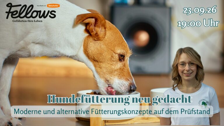 23.09.26 Hundefütterung neu gedacht mit Dr. Rebecca Huhmann