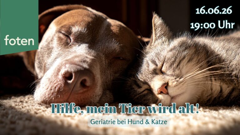 16.06.26 Hilfe, mein Tier wird alt! – Geriatrie bei Hund & Katze