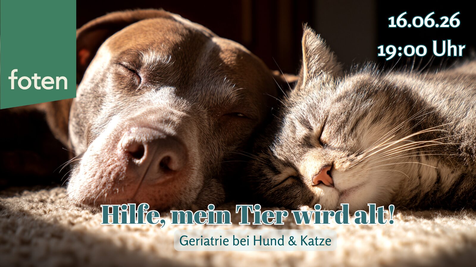 16.06.26 Hilfe, mein Tier wird alt! – Geriatrie bei Hund & Katze