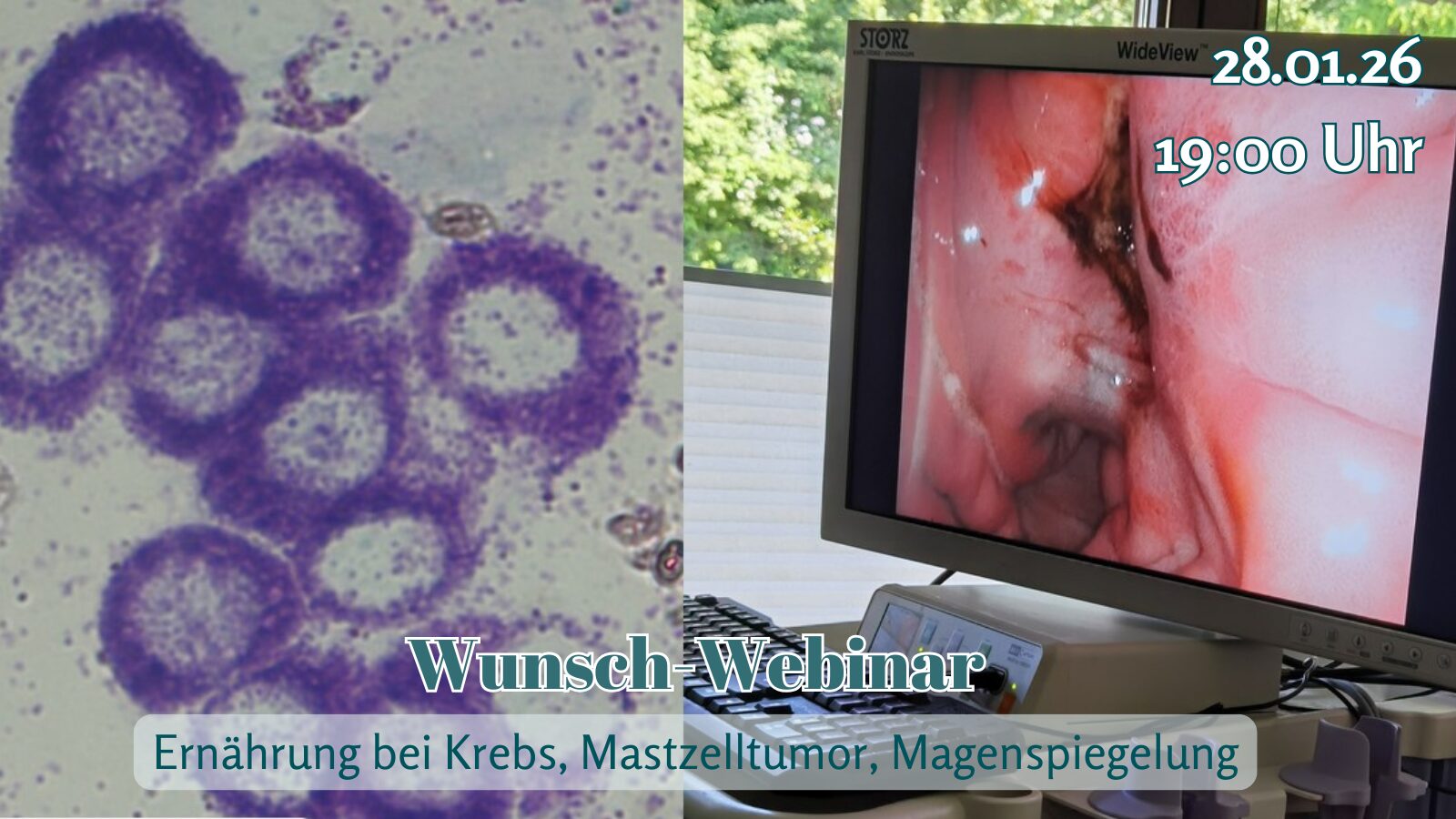 Aufzeichnung Wunsch-Webinar: Mastzelltumor, Bildgebung, Ernährung