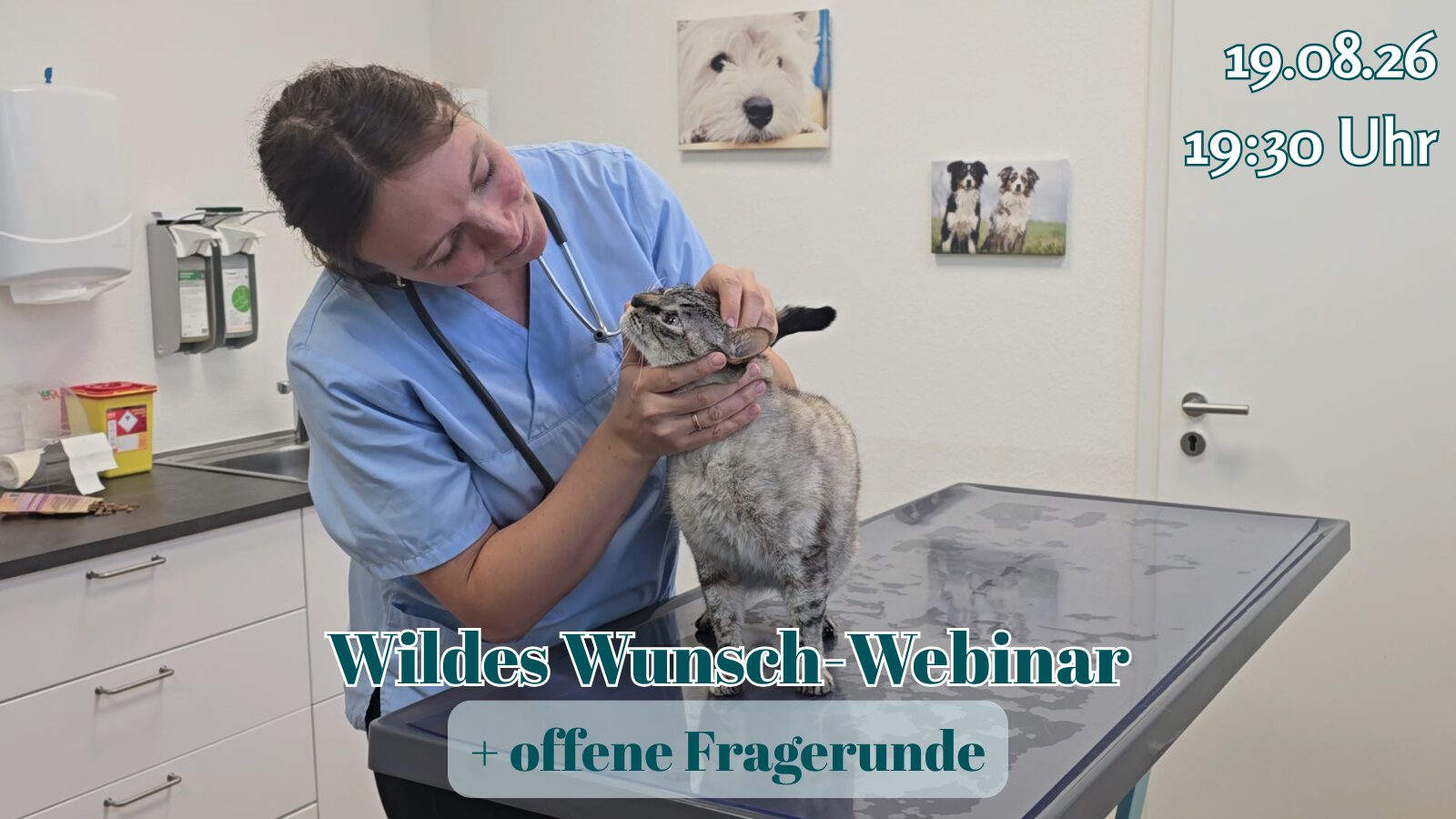 19.08.26: Wunsch-Webinar & Fragerunde