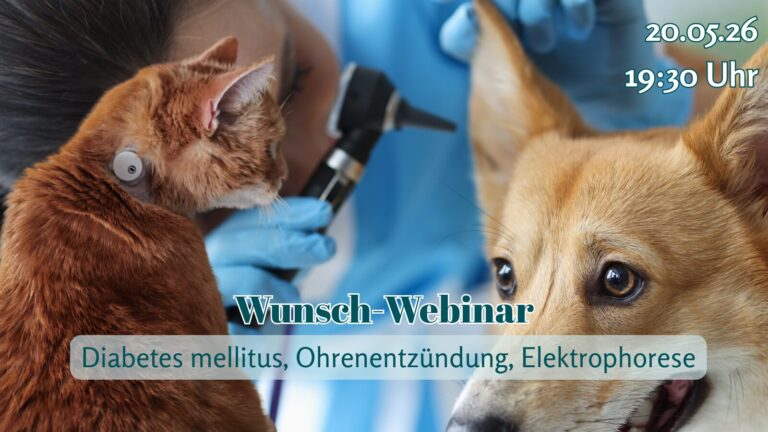 Wunsch-Webinar: Diabetes mellitus, Ohrenentzündung, Elektrophorese
