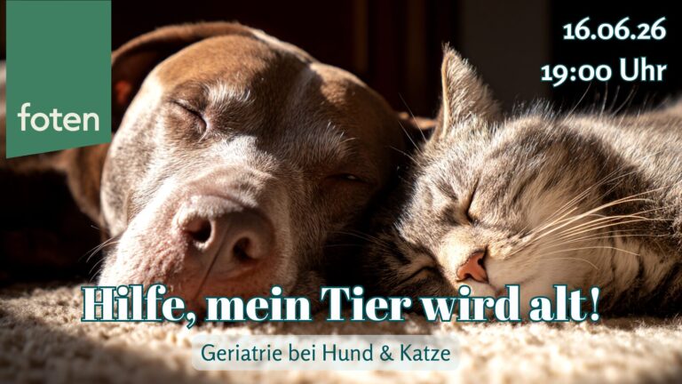 16.06.26 Hilfe, mein Tier wird alt! – Geriatrie bei Hund & Katze
