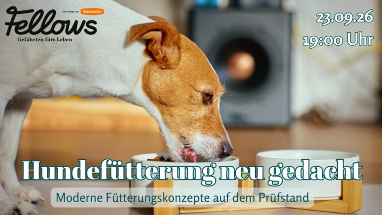 23.09.26 Hundefütterung neu gedacht mit Dr. Rebecca Huhmann