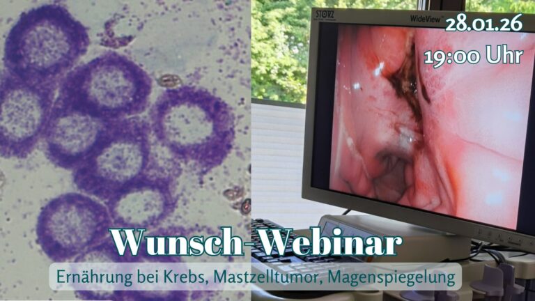 Wunsch-Webinar: Mastzelltumor, Bildgebung, Ernährung