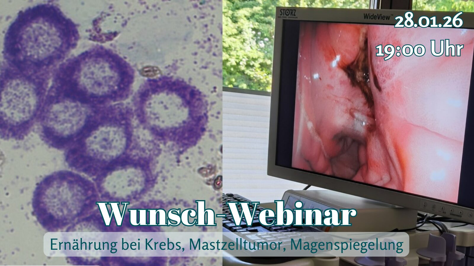Wunsch-Webinar: Mastzelltumor, Bildgebung, Ernährung