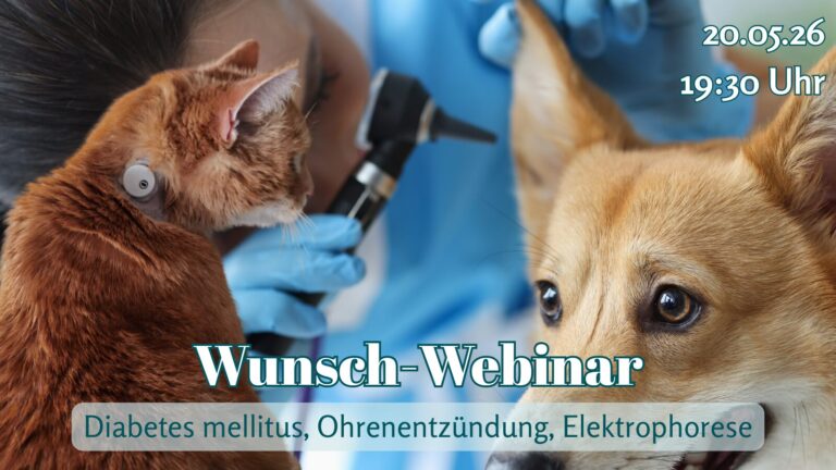 Wunsch-Webinar: Diabetes mellitus, Ohrenentzündung, Elektrophorese