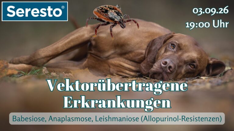 03.09.26: Vektorübertragene Erkrankungen: Babesiose, Anaplasmose & Leishmaniose