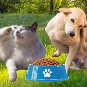 Allergien bei Hund & Katze
