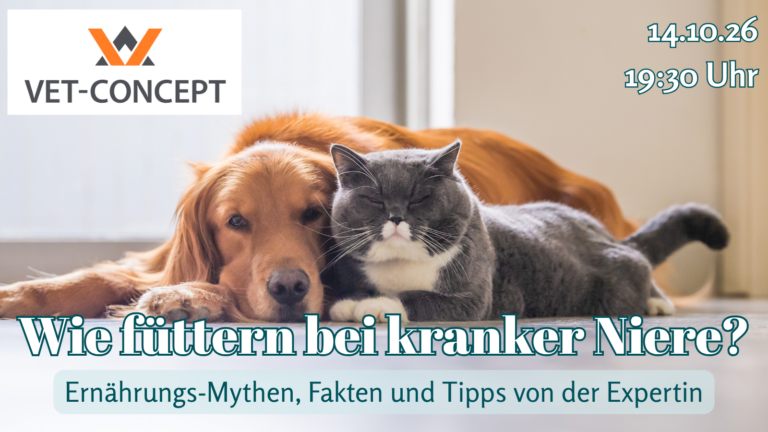 14.10.26: Wie füttern bei kranker Niere? Ernährungs-Mythen, Fakten und Tipps