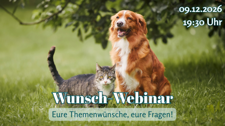 09.12.2026: Wildes Wunsch-Webinar zu euren Themen