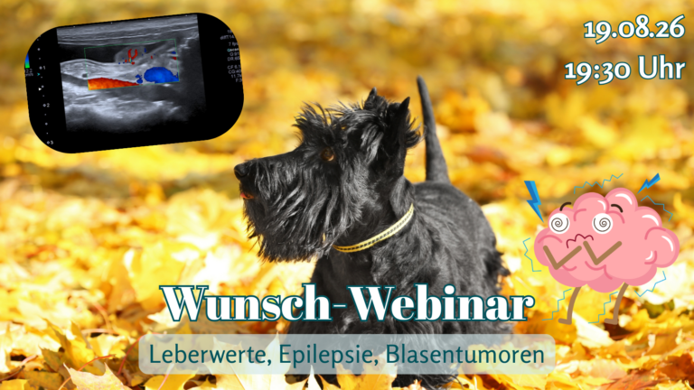 Wunsch-Webinar: Leberwerte, Epilepsie, Blasentumoren