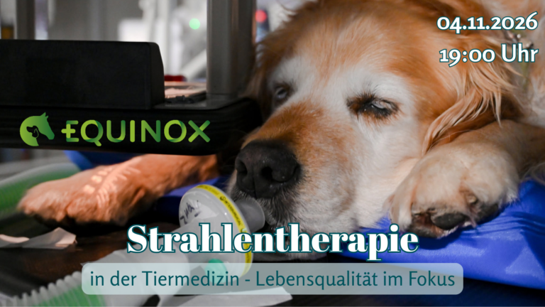 04.11.2026: Strahlentherapie in der Tiermedizin: Lebensqualität im Fokus